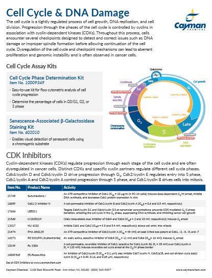 <p>​Cell Cycle and DNA Damage<br></p>